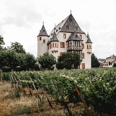 Schloss Schoenborn Geisenheim Exteriér fotografie