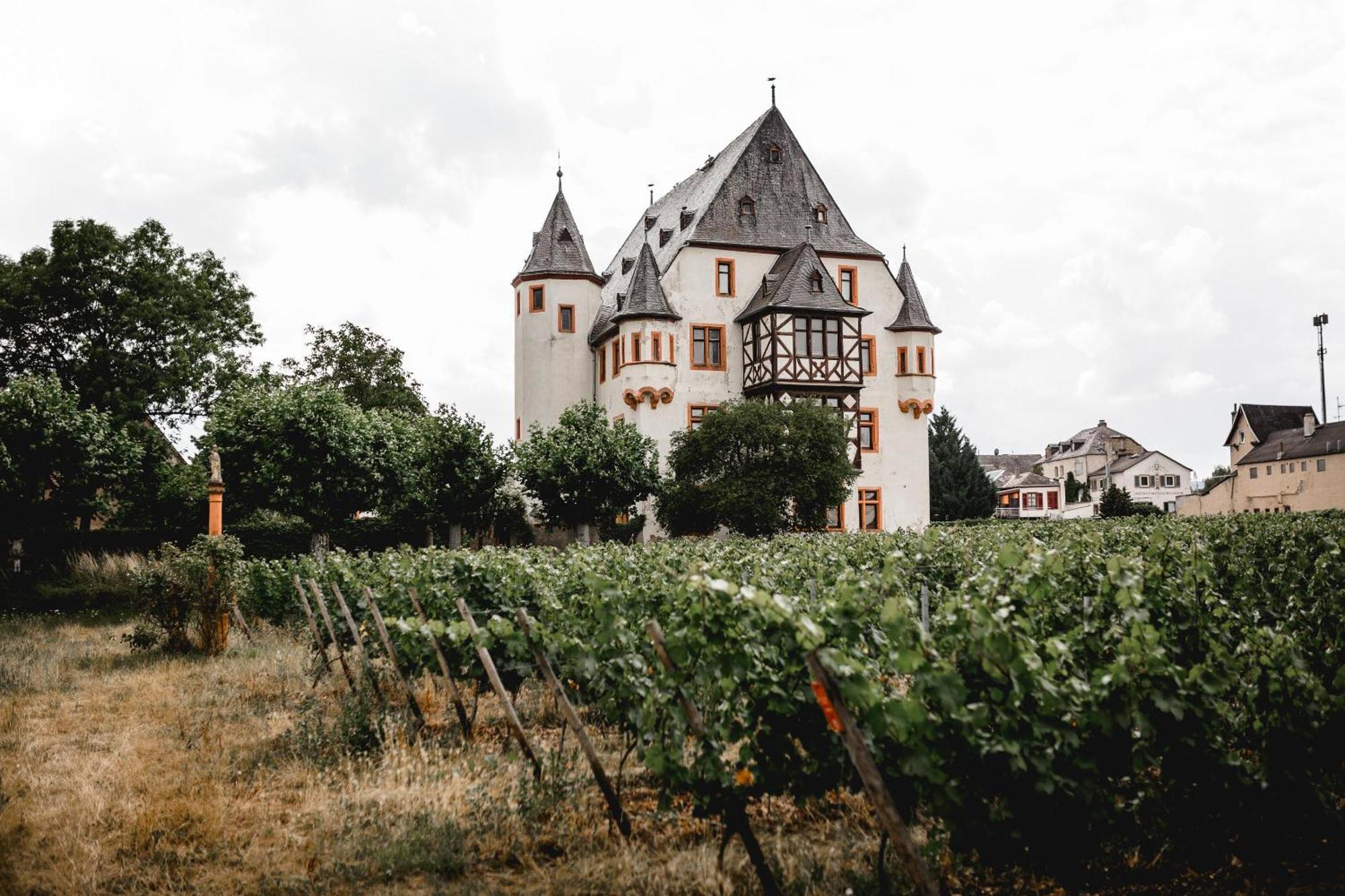 Schloss Schoenborn Geisenheim Exteriér fotografie