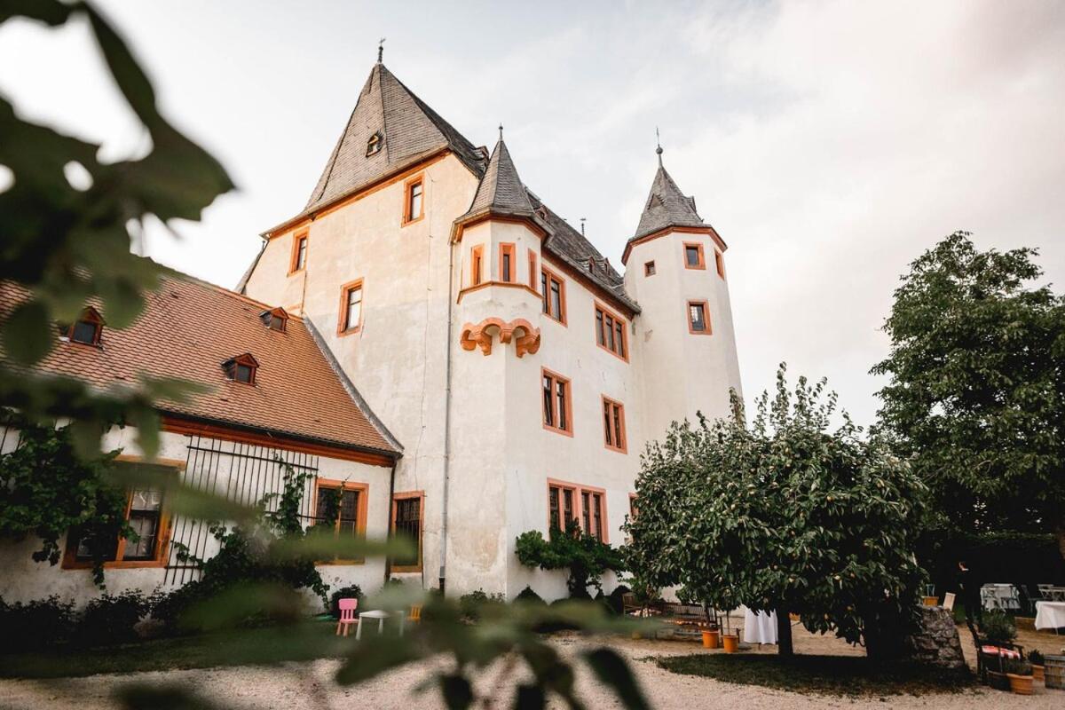 Schloss Schoenborn Geisenheim Exteriér fotografie
