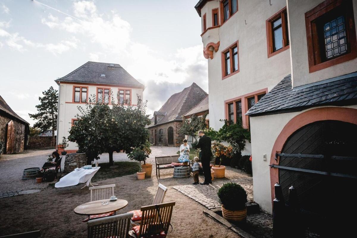 Schloss Schoenborn Geisenheim Exteriér fotografie