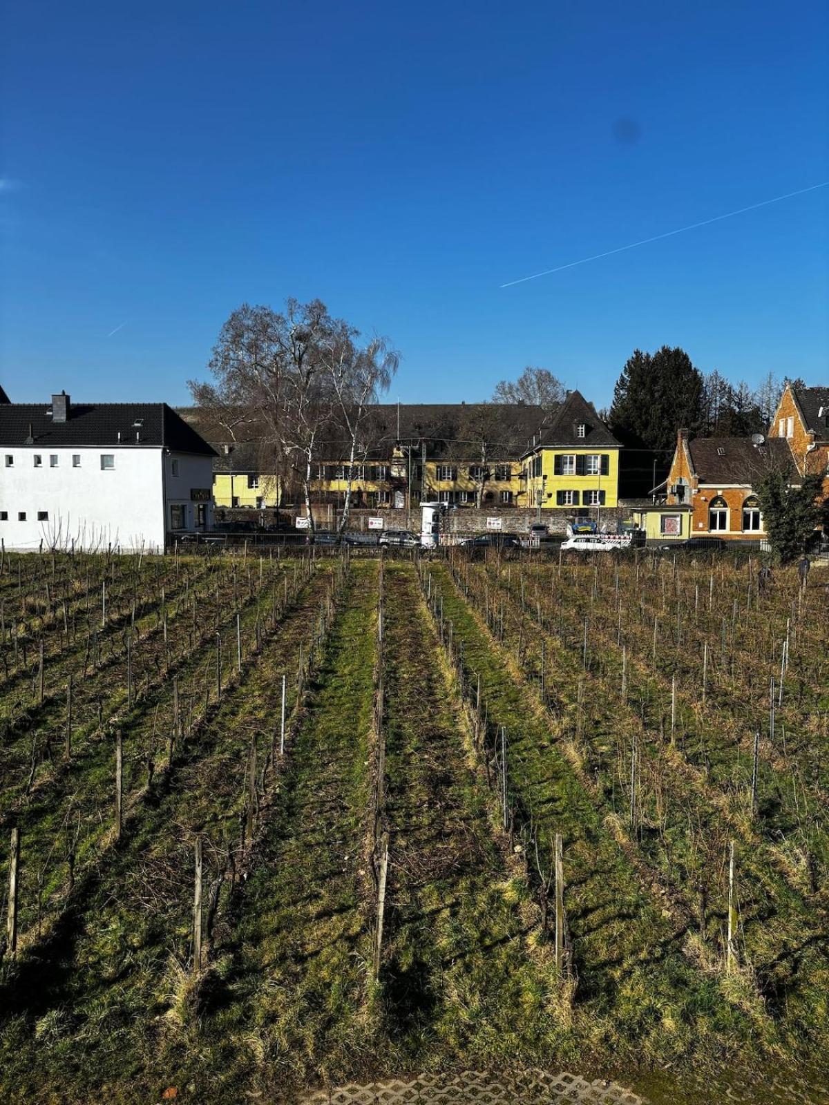 Schloss Schoenborn Geisenheim Exteriér fotografie
