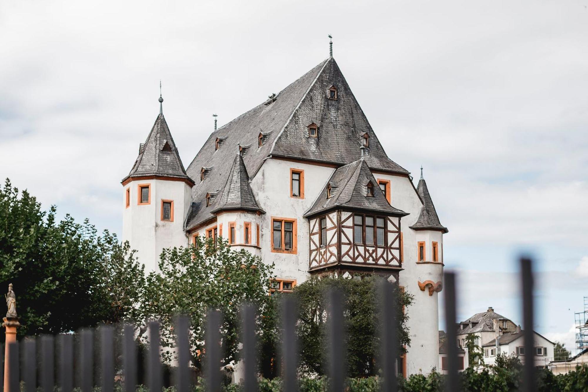 Schloss Schoenborn Geisenheim Exteriér fotografie